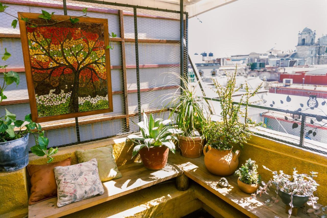 Boutique Hotel Casa Cid De Leon Oaxaca Εξωτερικό φωτογραφία